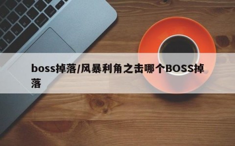 boss掉落/风暴利角之击哪个BOSS掉落